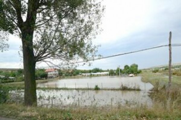 Mii de hectare de culturi agricole, distruse la Galaţi